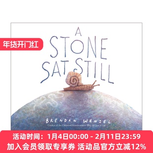 石头一动也不动 英文原版绘本 A Stone Sat Still 凯迪克奖得主布兰登·文策尔 凯迪克银奖 英文版 进口英语原版书籍