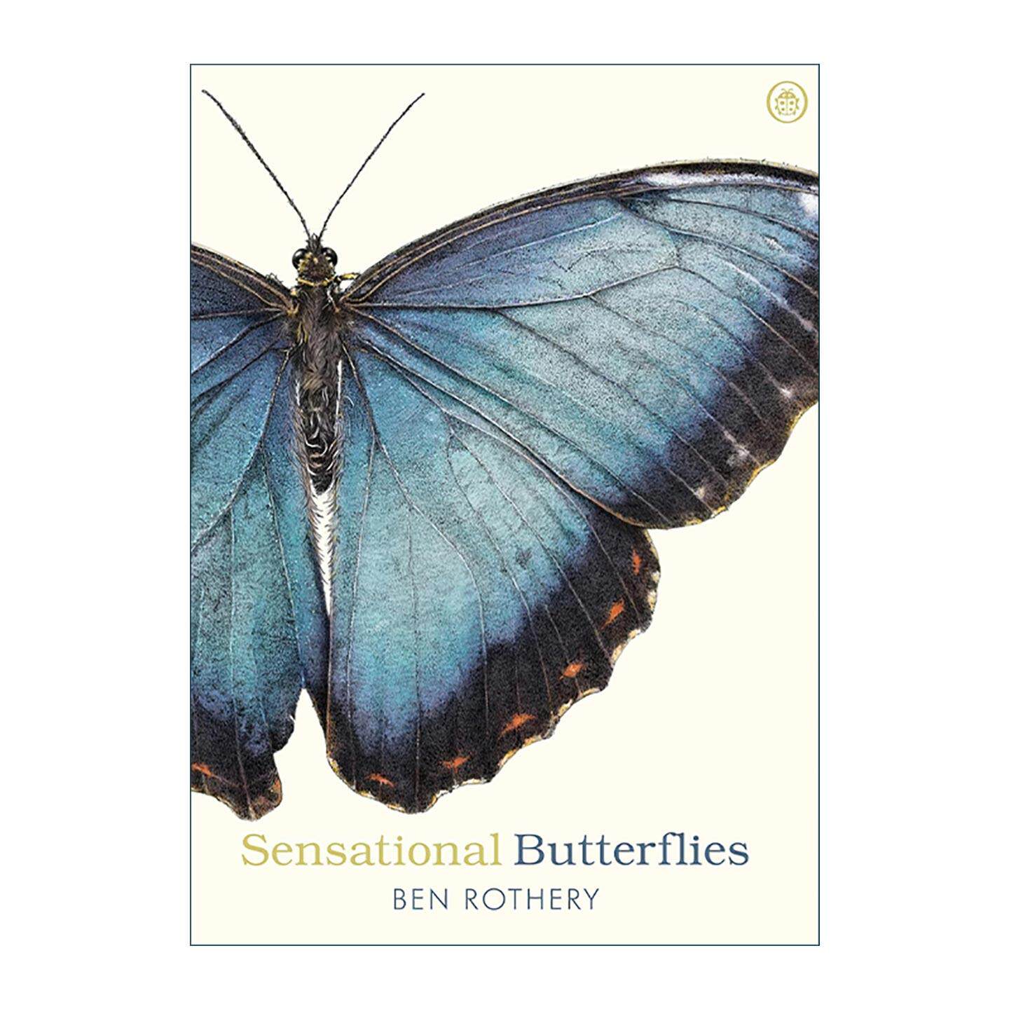英文原版 Sensational Butterflies 蝴蝶和飞蛾手绘百科 自然插画师本·罗瑟里 英文版 进口英语原版书籍