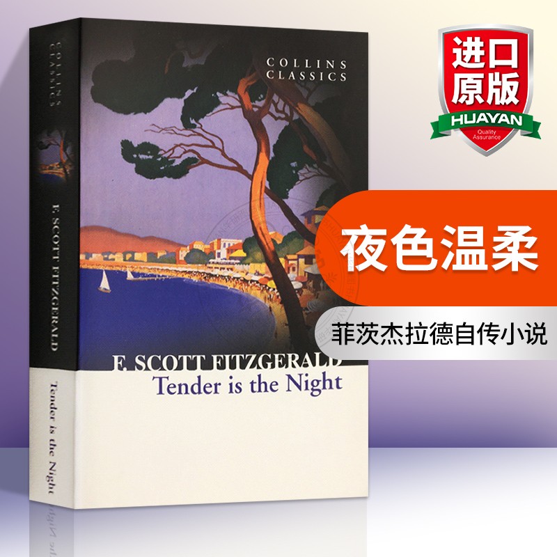 夜色温柔英文原版小说