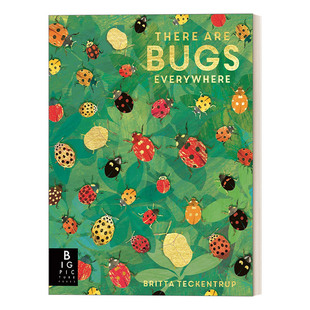 昆虫遍布 英文原版 There Are Bugs Everywhere 儿童认知绘本 英文版 进口英语原版书籍