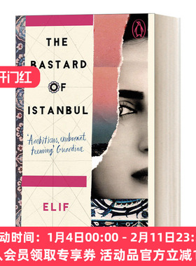 英文原版小说 The Bastard of Istanbul 伊斯坦布尔孤儿 埃利芙·沙法克 Penguin Essentials系列 英文版 进口英语原版书籍
