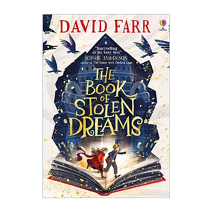 英文原版 The Book of Stolen Dreams 盗梦者之书 入围2023水石儿童图书奖 英文版 进口英语原版书籍