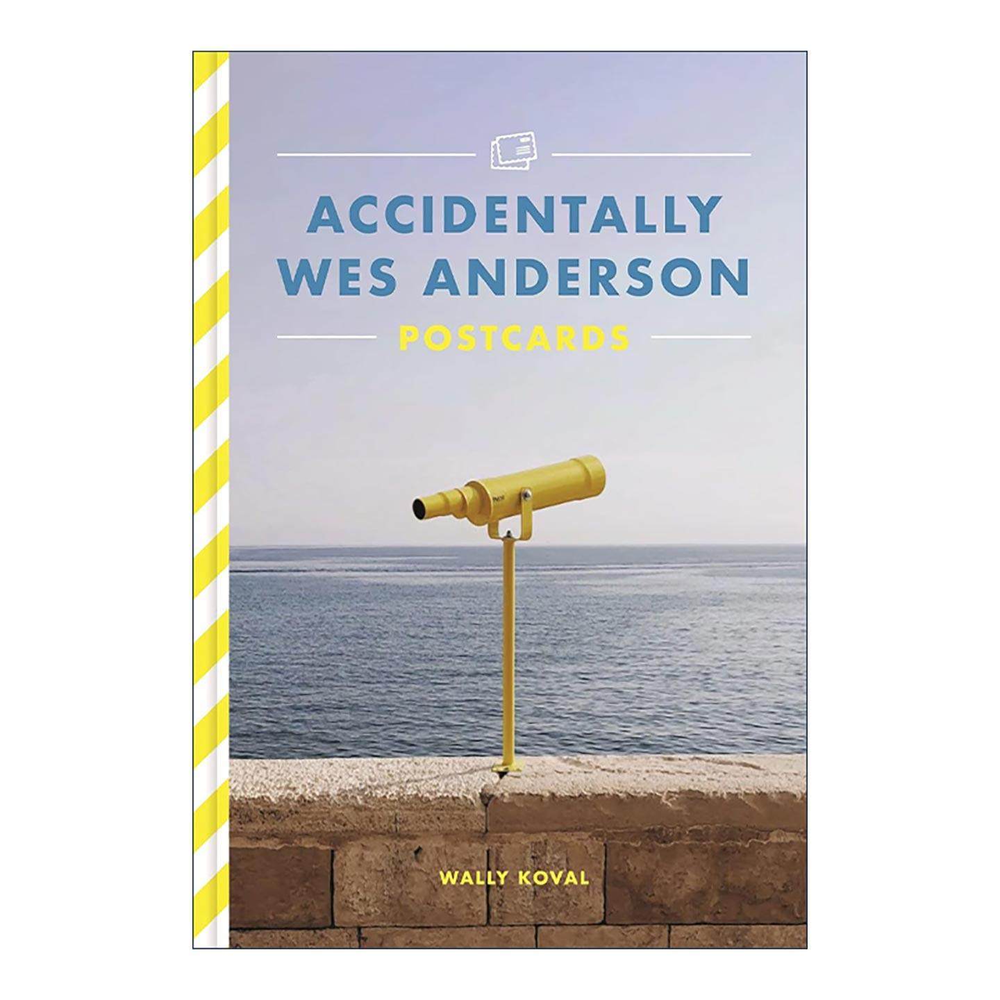 英文原版 Accidentally Wes Anderson Postcards 偶遇韦斯安德森 明信片26张 英文版 进口英语原版书籍