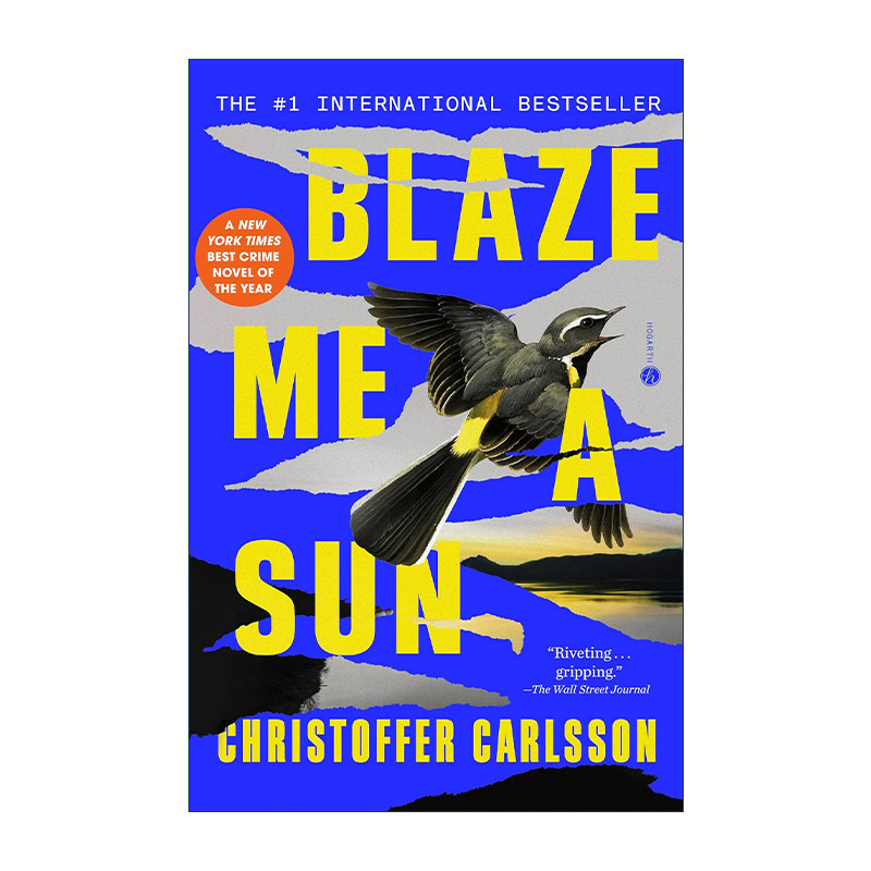 英文原版 Blaze Me a Sun 为我点燃太阳 犯罪悬疑小说 Christoffer Carlsson 英文版 进口英语原版书籍