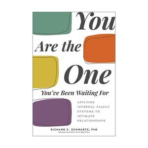 英文原版 You Are the One You've Been Waiting For 你才是自己命运的缔造者 亲密关系上的IFS 理查德·施沃茨 进口英语原版书籍