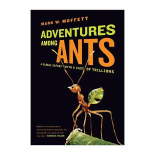 英文原版 Adventures among Ants 蚂蚁历险记 万亿参与者的全球旅行 蚂蚁界珍妮·古道尔 英文版 进口英语原版书籍