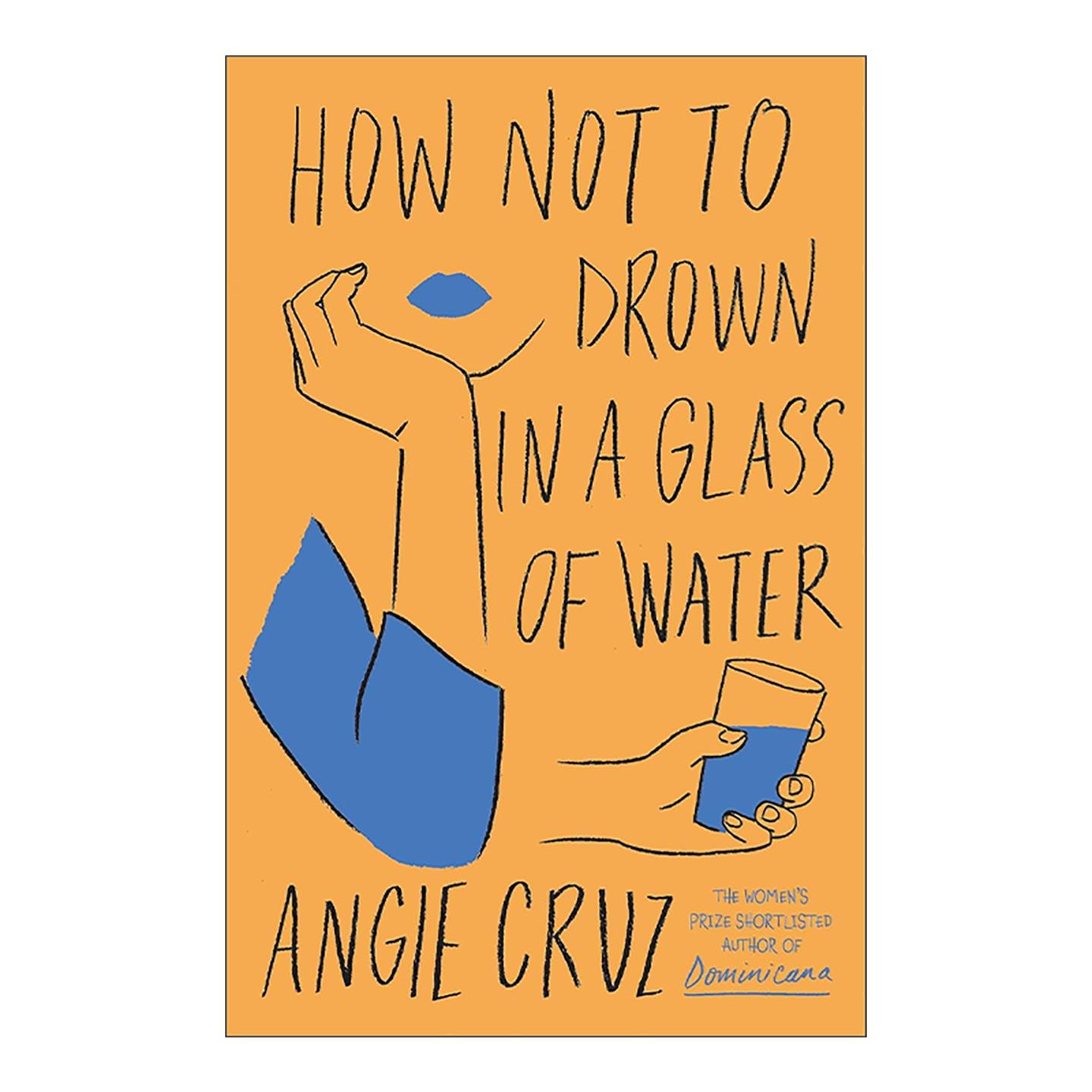 英文原版 How Not to Drown in a Glass of Water 如何不被一杯水淹没 女性小说 英文版 进口英语原版书籍