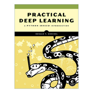 实用的深度学习  英文原版 Practical Deep Learning 基于python的介绍 计算机编程 Ronald T. Kneusel 英文版 进口英语原版书籍