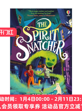 英文原版 The Spirit Snatcher 灵魂捕手 青少年奇幻神秘小说读物 英文版 进口英语原版书籍