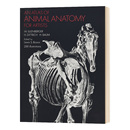 动物绘画技巧参考书 Anatomy 英文版 Atlas for Artists 华研原版 Animal 英文原版 英语艺术类书籍 动物解剖图谱 进口原版