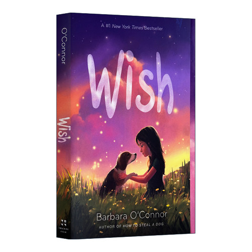 愿望英文原版Wish进口书籍