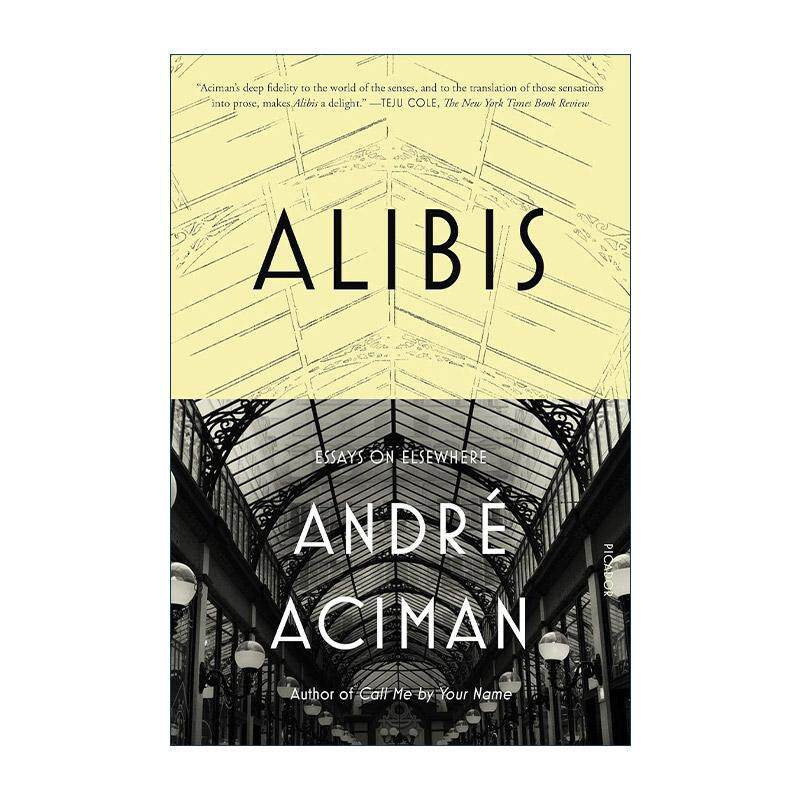 英文原版 Alibis Essays on Elsewhere 安德列·艾席蒙游记 英文版 进口英语原版书籍