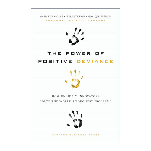 正向偏差的力量 英文原版 The Power of Positive Deviance 反直觉解决问题 哈佛商业评论 Pascale Richard 精装 进口英语原版书籍