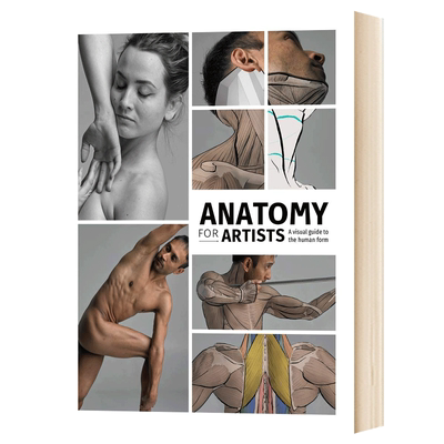 华研原版 艺术家的解剖 英文原版 Anatomy for Artists 进口艺术 英文版 进口英语书籍