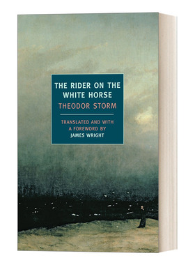 白马骑士 英文原版小说 The Rider on the White Horse Theodor Storm 纽约书评经典 英文版 进口英语原版书籍