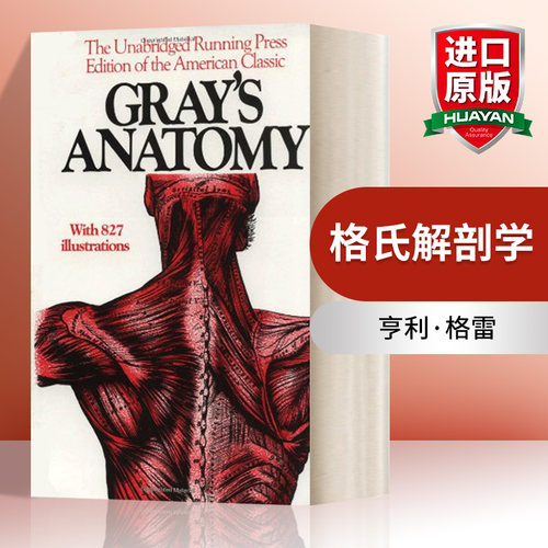 英文原版格氏解剖学进口书籍
