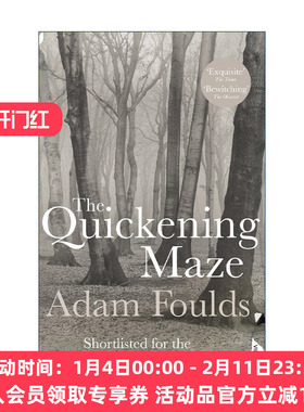 英文原版 The Quickening Maze 不断深陷的迷惘 亚当·福尔兹历史小说 布克奖提名 英文版 进口英语原版书籍