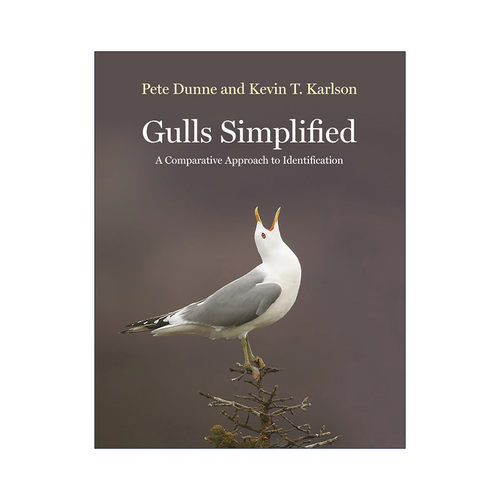 英文原版 Gulls Simplified 海鸥简易指南 识别的比较方法 观鸟 Pete Dunne 英文版 进口英语原版书籍