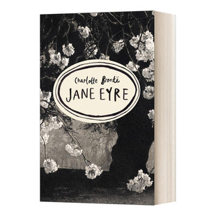 Bronte 新版 英文原版 Series Classics Eyre 英文版 系列 简 进口英语原版 夏洛蒂 Vintage 勃朗特经典 Jane 华研原版 书籍 爱