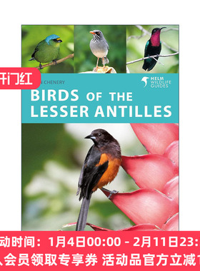 英文原版 Birds of the Lesser Antilles 小安的列斯群岛鸟类图鉴 英文版 进口英语原版书籍