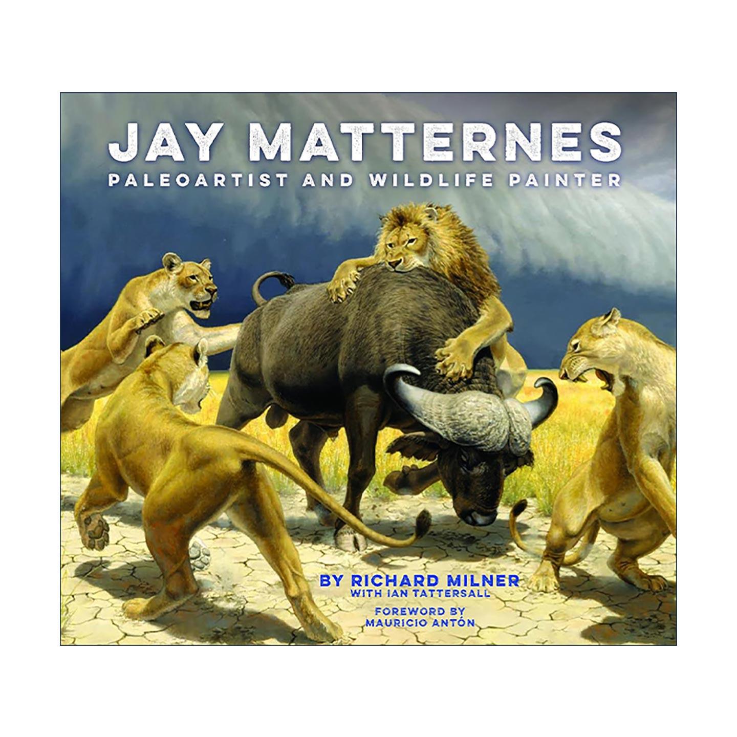 英文原版 Jay Matternes Paleoartist and Wildlife Painter 杰伊·马特内斯 古生物艺术家和野生动物画家 艺术画册精装 英文版