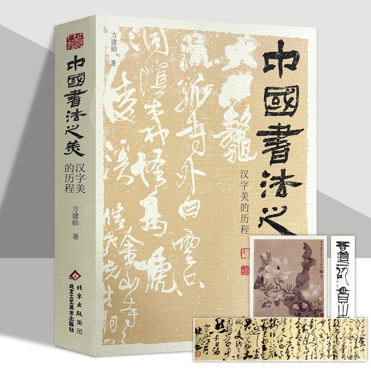中国书法之美 汉字美的历程 建勋著 碑帖 甲骨文金文篆书行书楷书发展历程 传统书法美学理论探究