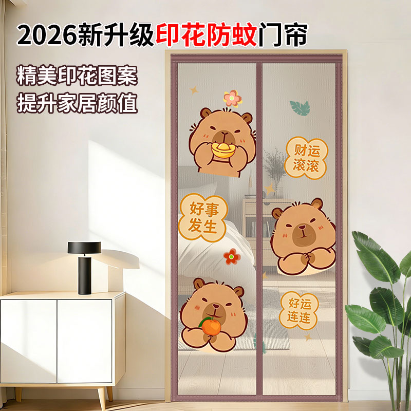 2026新款磁吸强力防蚊纱网门帘图片