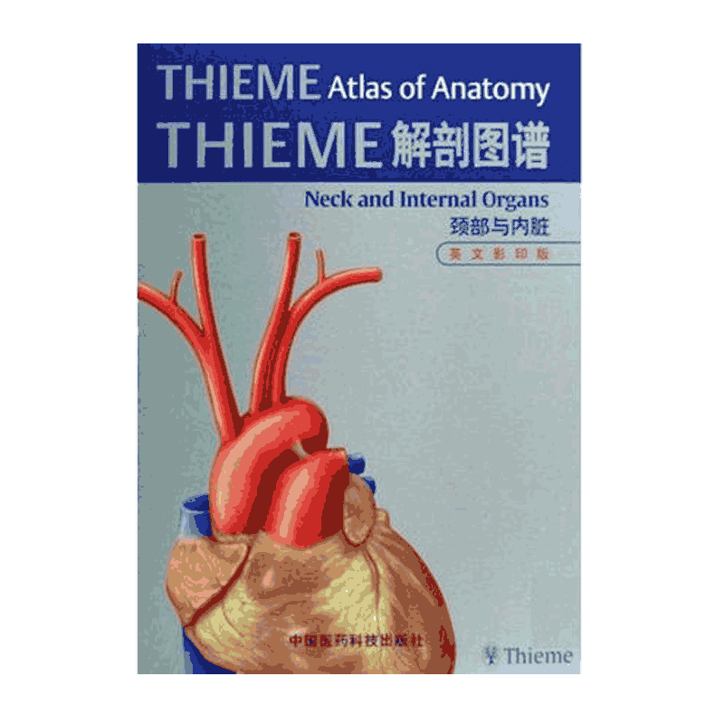 thieme解剖图谱颈部内脏申克英文