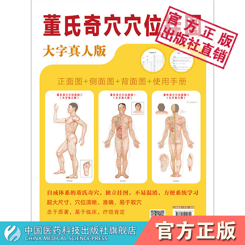 董氏奇穴穴位挂图杨维杰师董景昌董氏奇穴董氏正经奇穴实用图册图解正经奇穴取穴穴位诠解针灸刺血原理结构中医针灸治疗学经穴挂图