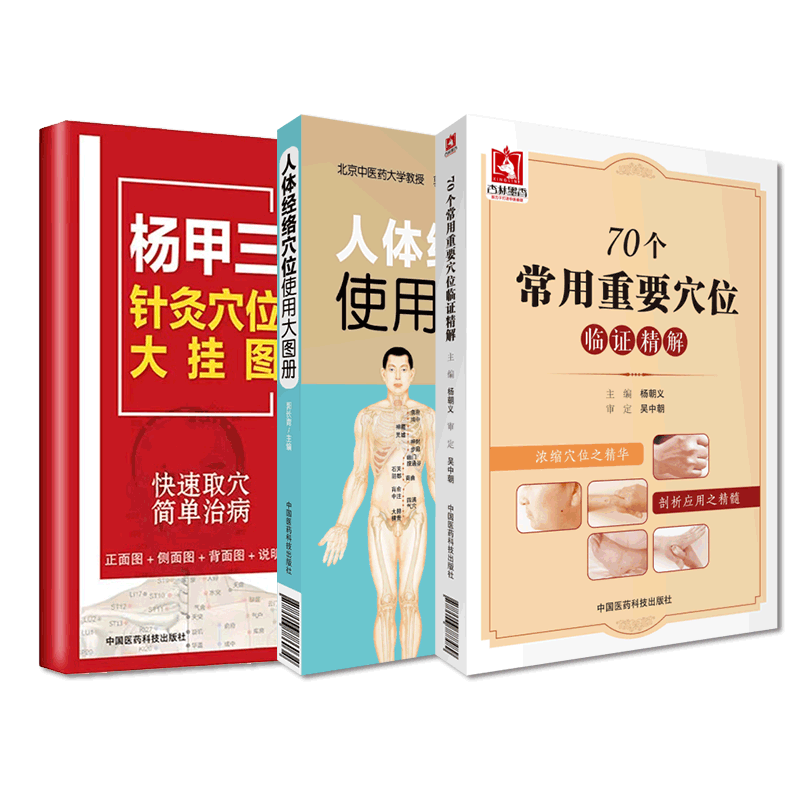 图解人体经络穴位速查手册