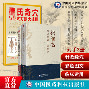 董氏奇穴与经穴对照大挂图杨维杰师董景昌杨维杰痛证特效一针疗法针灸五输穴应用发挥中医穴位针灸正经配穴位诠解原理解构刺血治疗