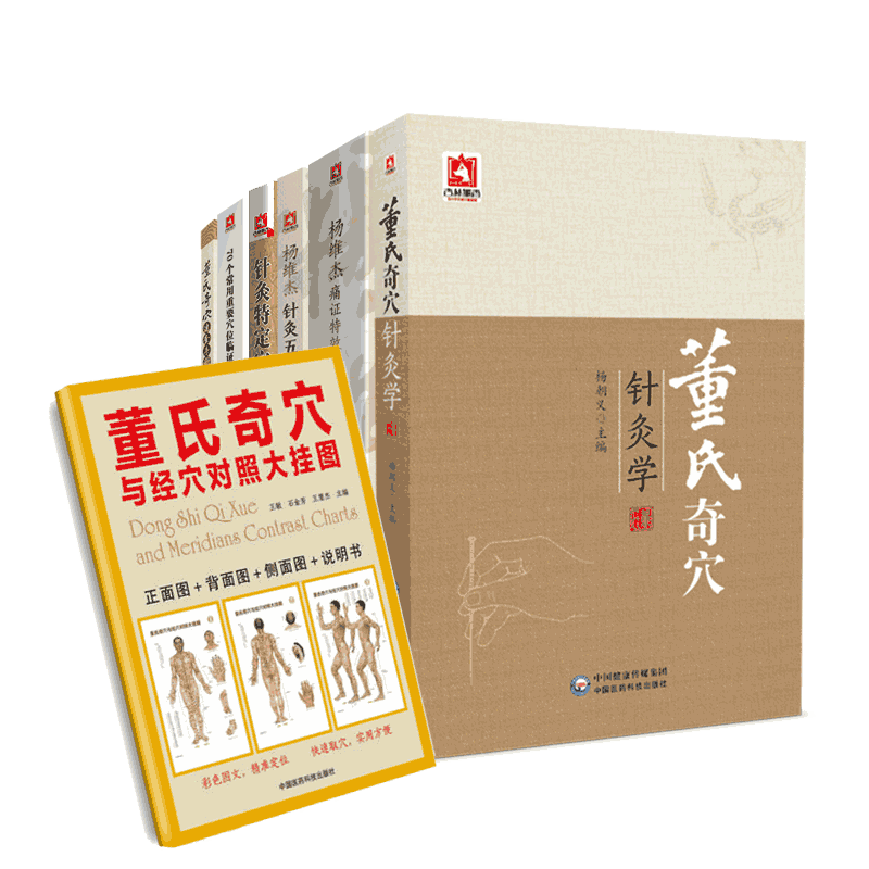 董景昌奇穴针灸学对照挂图速查