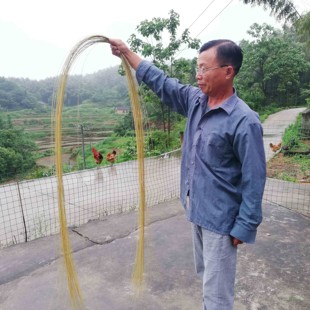 竹篾丝 竹编材料细丝长竹篾DIY手工竹片竹条风筝灯笼建筑模型竹材