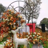 婚庆舞台布置铁艺拱门道具森系婚礼场景布置装 新款 中式 饰屏风路引