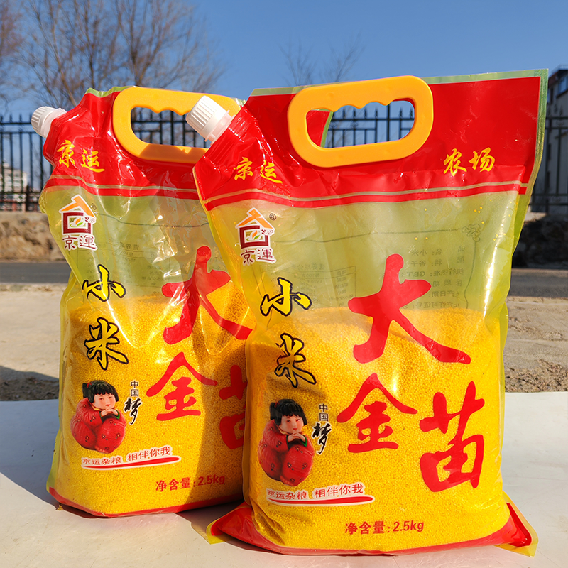 2025京运大金苗小米今年新米内蒙古赤峰敖汉黄小米软糯粘稠5斤装