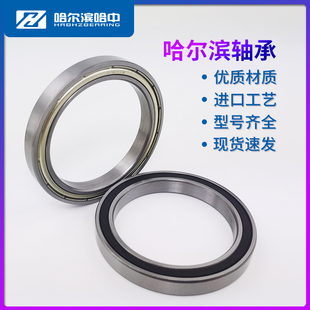 哈尔滨轴承16000 16001 16002 16003 16004 16005 16006 16007RSZ