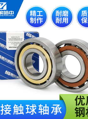 哈尔滨轴承大全7217 7218 7219 7220 7221 7222 7224 7226 ACM