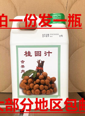 邵东广运含果肉2.5公斤桂圆汁