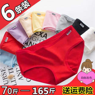头牛年 女纯棉大红色本命年少女学生舒适全棉100%女士红裤 红内裤
