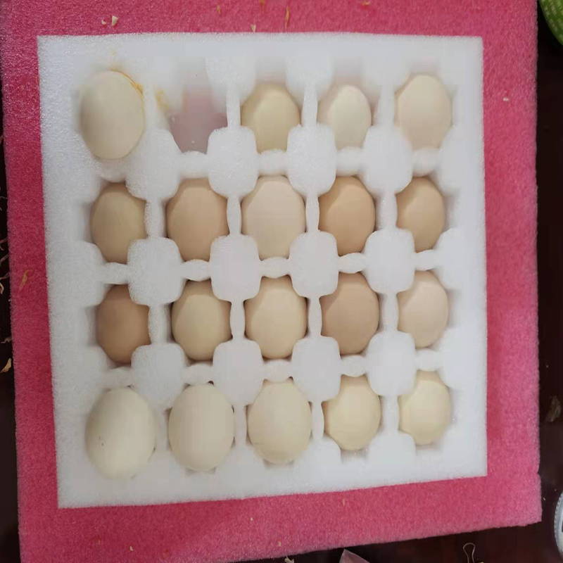 防摔透气防震鸡蛋盒鸡蛋