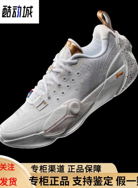 李宁韦德全城13篮球鞋2025新款男子缓震回弹专业比赛鞋ABAV001