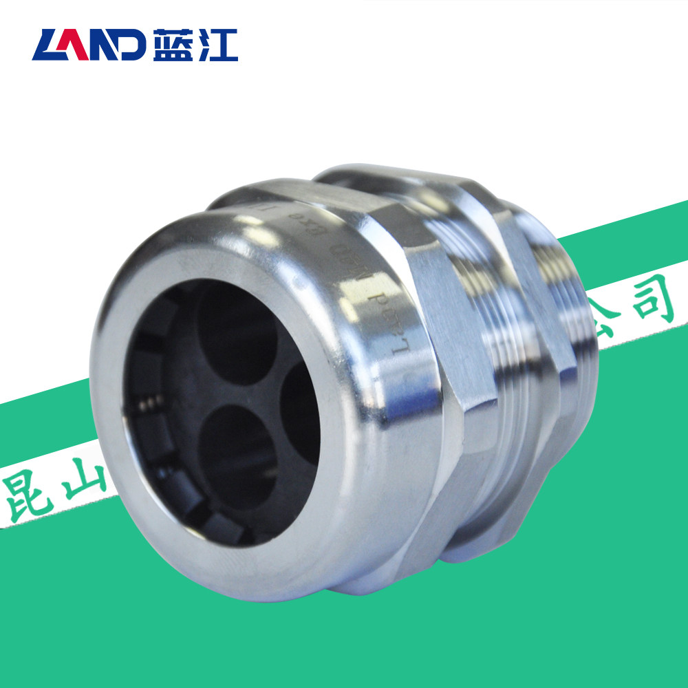 蓝江 三孔防爆不锈钢电缆防水接头304多孔线缆密封锁紧格兰头葛兰