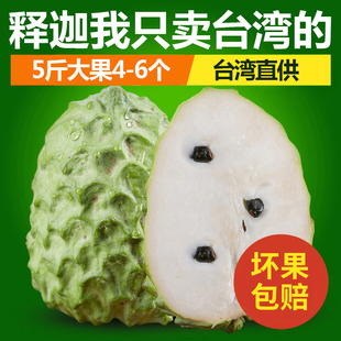 阳哥 新鲜进口水果台湾凤梨释迦果 番荔枝 佛头果5斤牛奶释迦大果