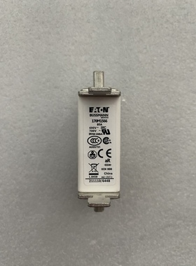 BUSSMANN 熔断器 170M1566 80A 690V-700V