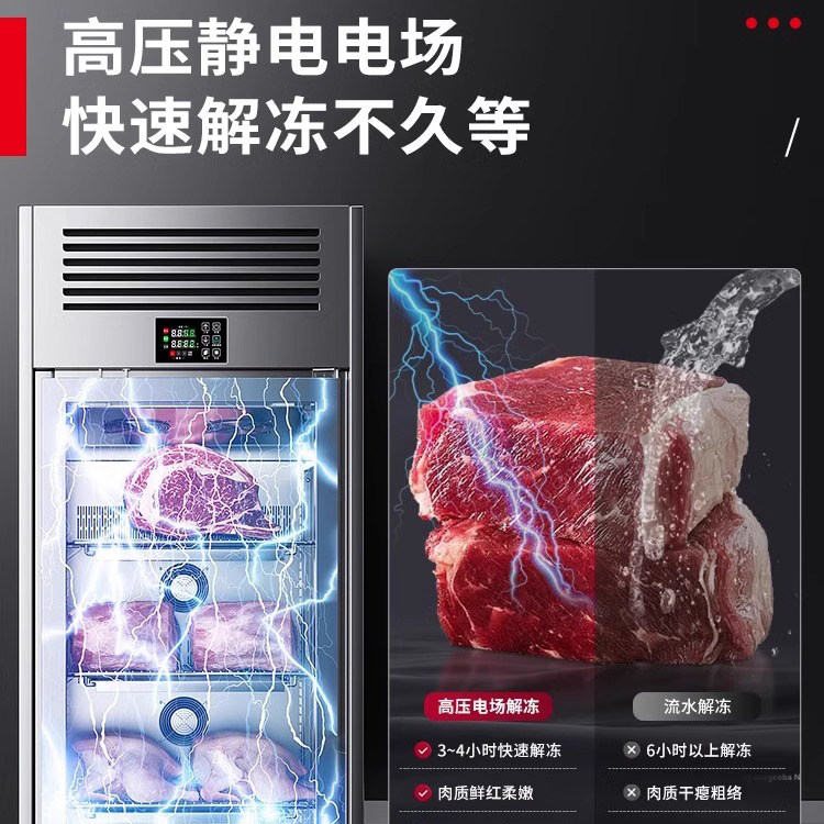 商用解冻柜高压静电低温冷藏大容量抑菌猪羊牛肉化冻机排酸柜