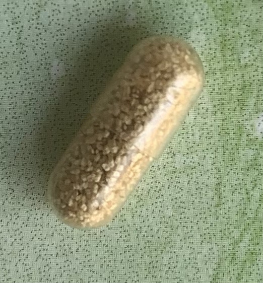 淡水裸腹蚤水蚤休眠期卵耐久卵水蛛蹦蹦虫鱼苗开口料