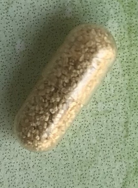 淡水裸腹蚤水蚤休眠期卵耐久卵水蛛蹦蹦虫鱼苗开口料