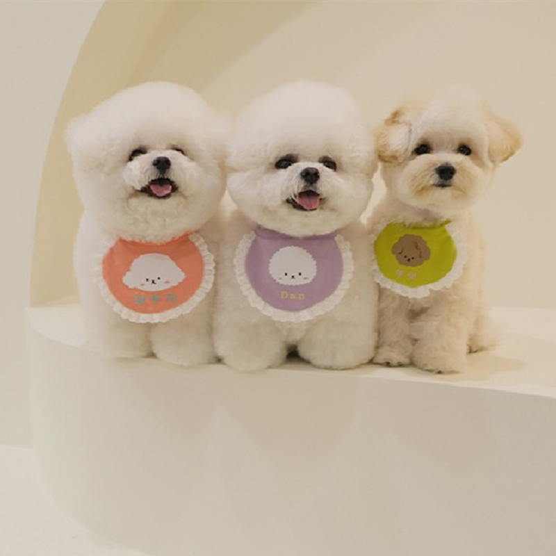 韩系宠物狗狗名字口水巾小狗泰迪比熊博美马尔济斯围嘴可绣名字
