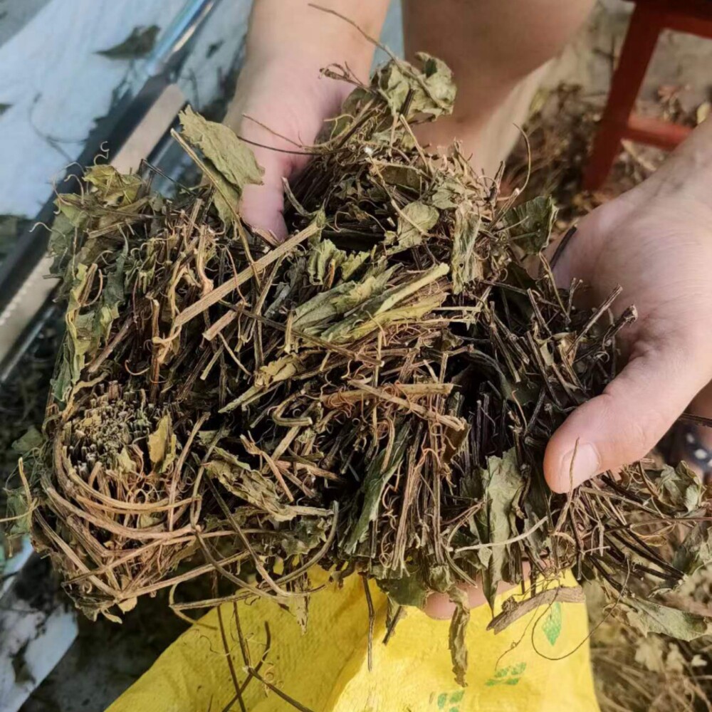 三叶青藤干货 石老鼠藤 蛇连藤正宗农村一手货源干度98%1斤起发货