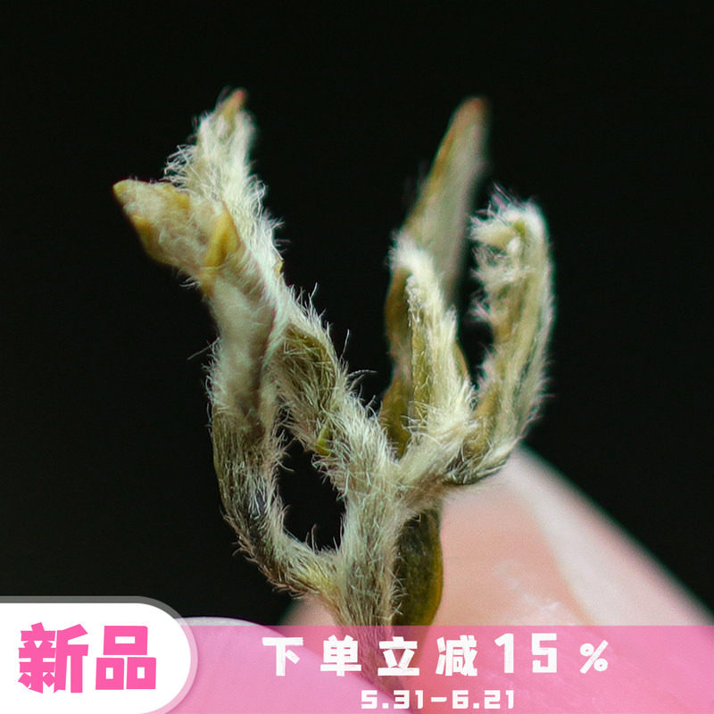 四季沫 2026新茶 全手头采蒙顶甘露 板栗香春采鲜爽甘醇